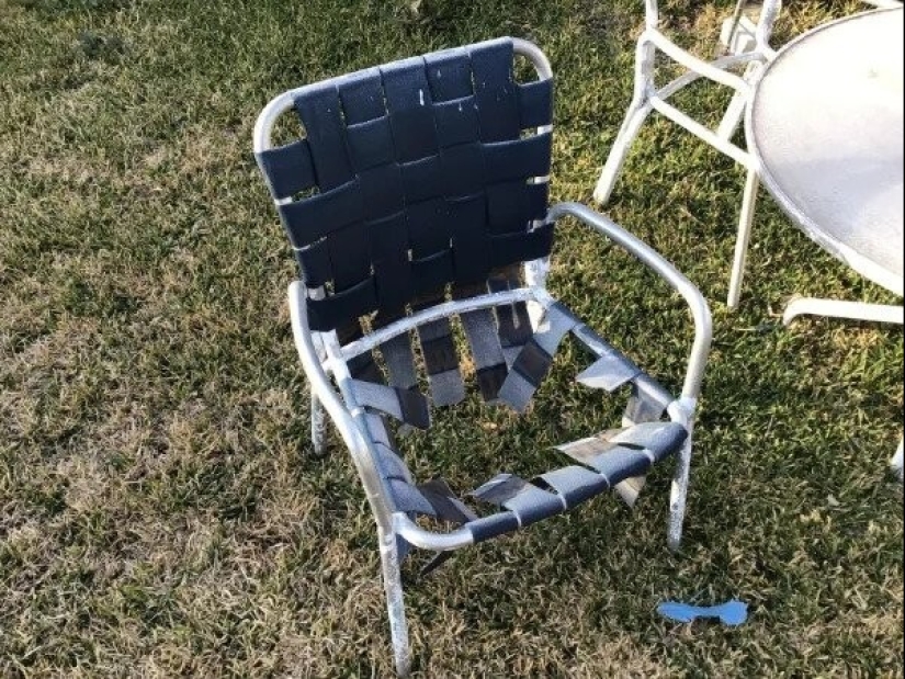 22 photos from those who had a bad day 22 photos from those who had a bad day