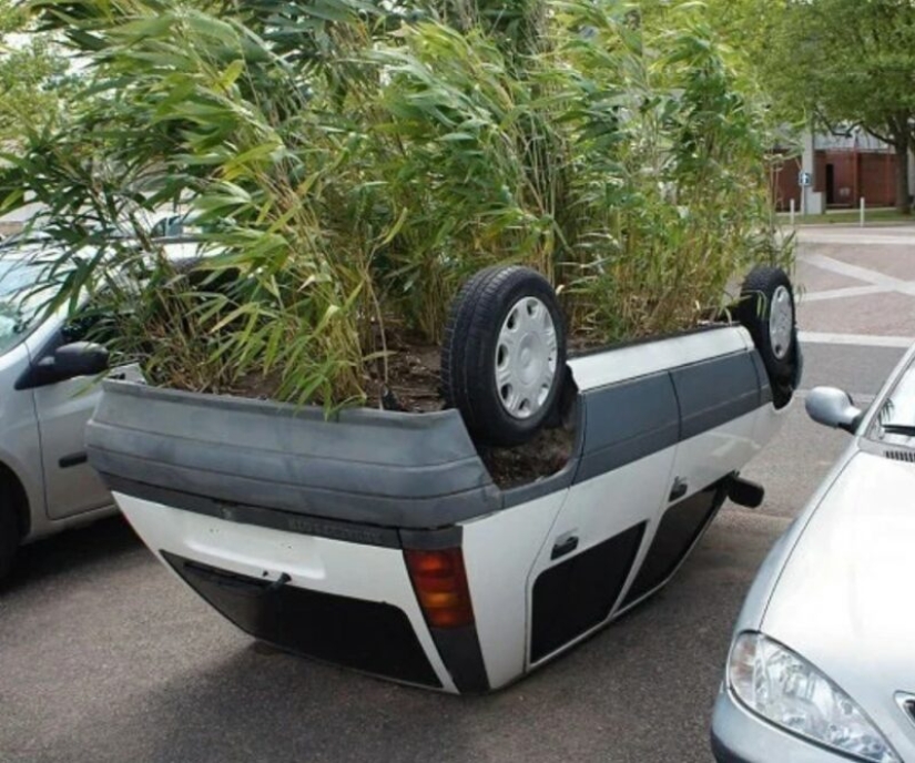 22 photos in which something inexplicable, but very interesting, is happening