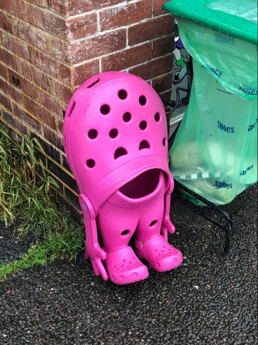 22 photos in which everything is so bad that it's even... good