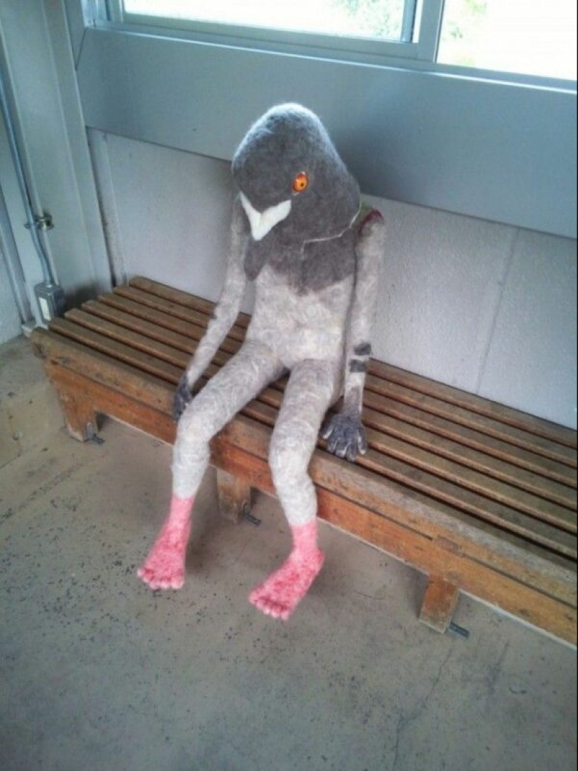 22 photos in which something inexplicable, but very interesting, is happening