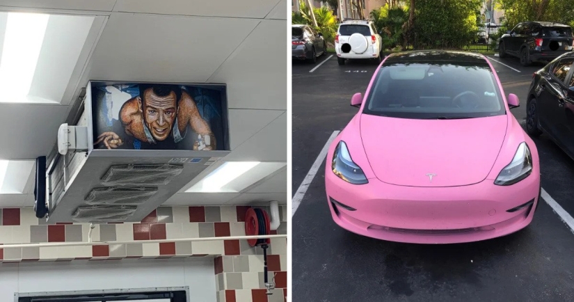 22 photos of interesting things that you won't see every day