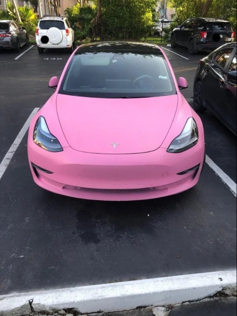 22 photos of interesting things that you won't see every day