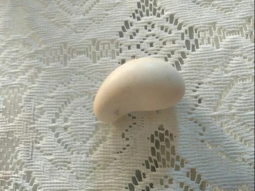 22 photos of interesting things that you won't see every day