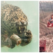 22 photos of very strange and even frightening things that actually exist