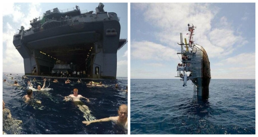 22 photos proving that the fear of water is not a joke to you! 22 photos proving that the fear of water is not a joke to you!