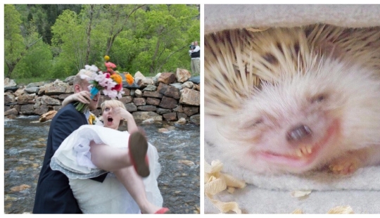 22 photos taken at the most opportune moment 22 photos taken at the most opportune moment