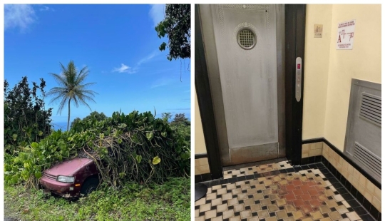 22 photos that demonstrate all the wonders of genetics