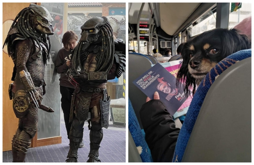 22 photos that have acquired a special meaning due to an unsuccessful angle 22 photos that have acquired a special meaning due to an unsuccessful angle