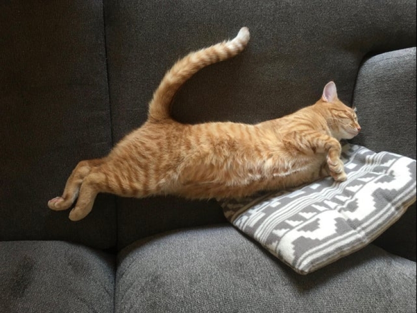 22 photos that have acquired a special meaning due to an unsuccessful angle 22 photos that have acquired a special meaning due to an unsuccessful angle