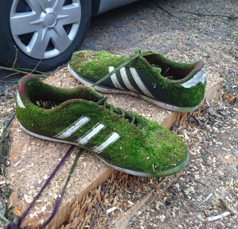 22 photos that prove that our world is an amazing and wonderful place