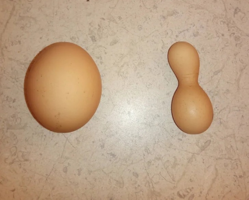 22 photos that prove that our world is an amazing and wonderful place