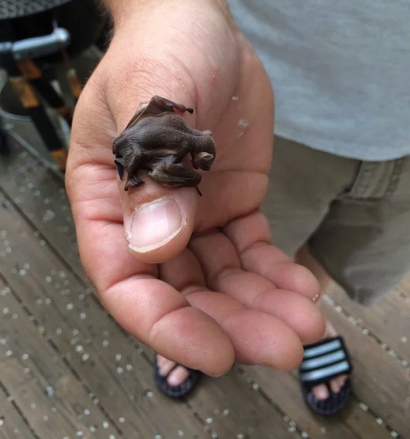 22 photos that prove that our world is an amazing and wonderful place