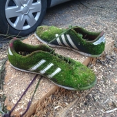 22 photos that prove that miracles exist 22 photos that prove that miracles exist