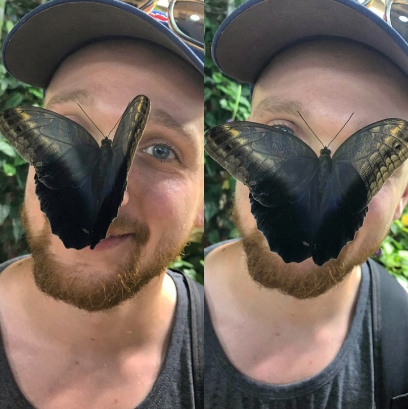 22 photos that prove that our world is an amazing and wonderful place