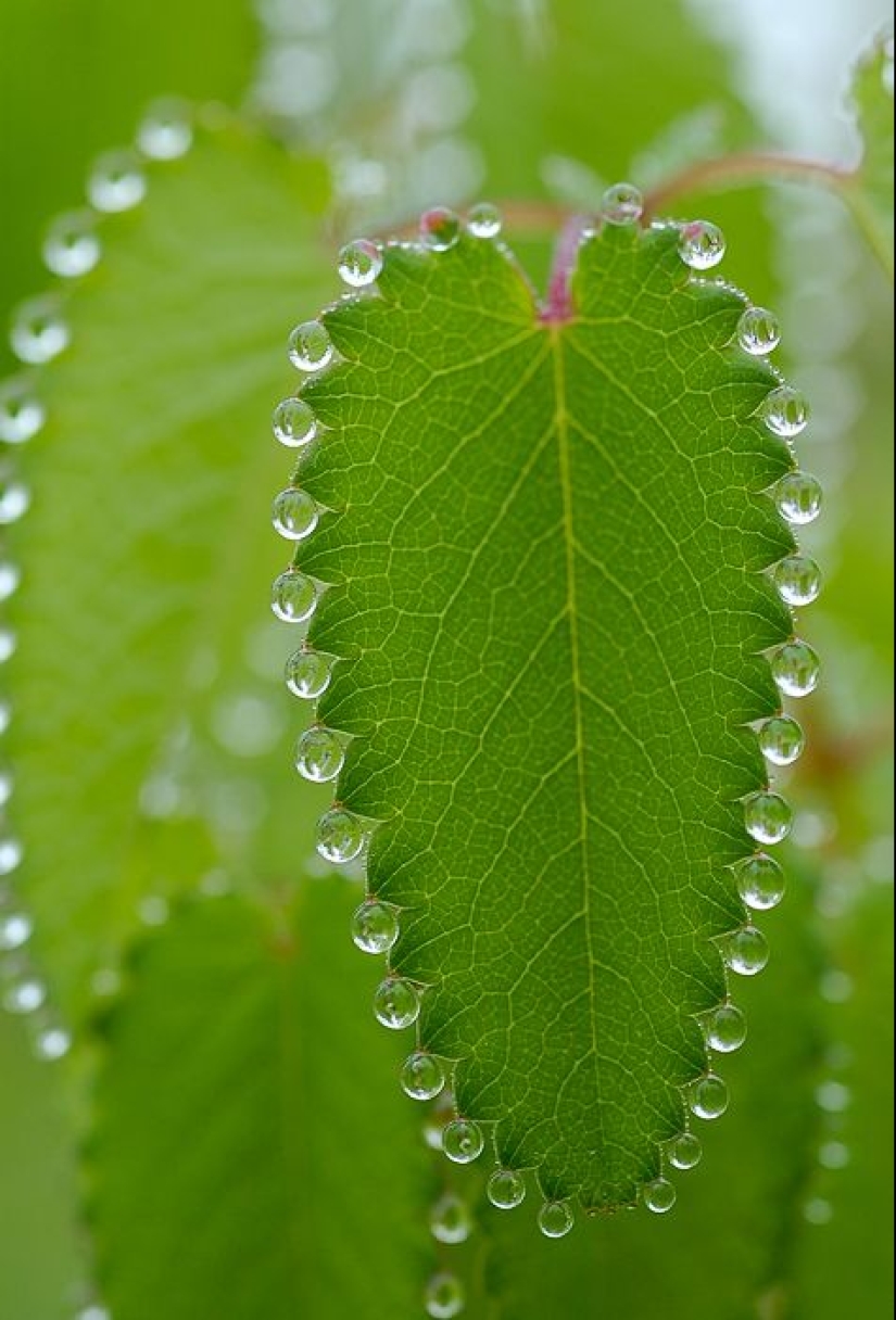 22 photos that prove that our world is an amazing and wonderful place