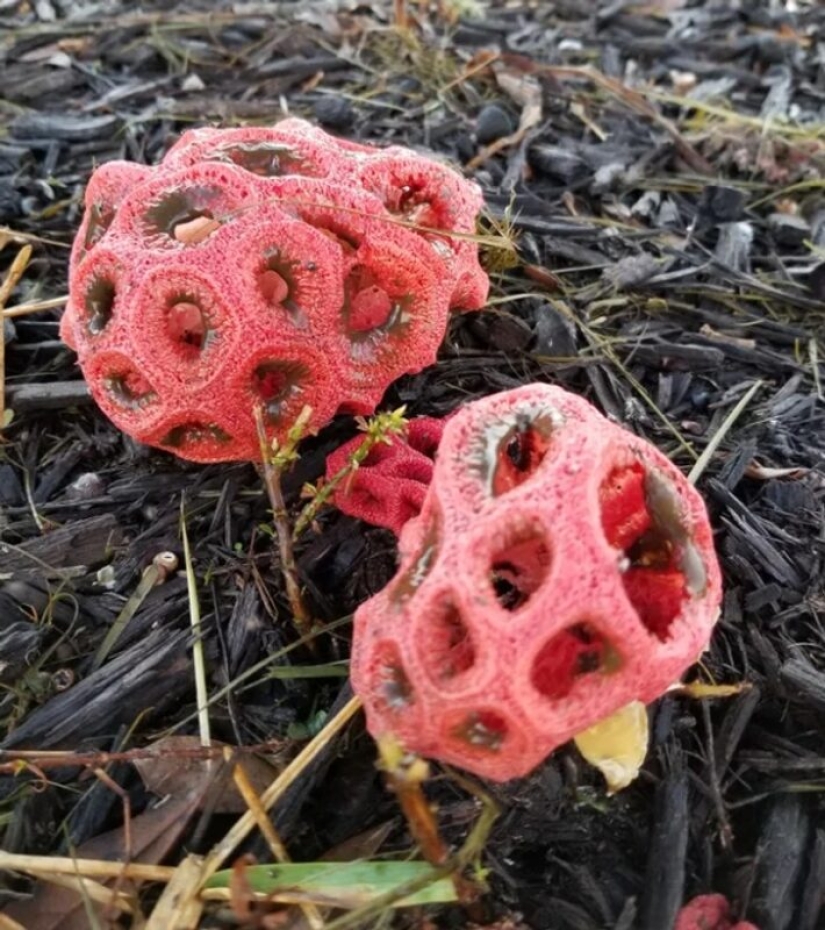 22 photos that prove that our world is an amazing and wonderful place