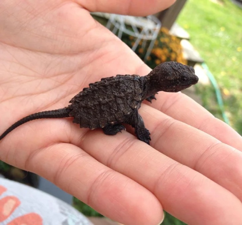 22 photos that prove that our world is an amazing and wonderful place