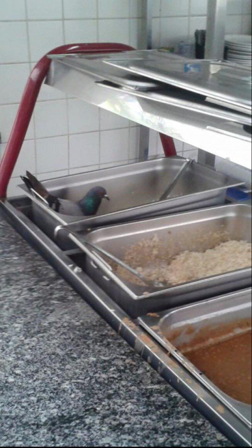 22 photos that will force you to give up food and learn to cook