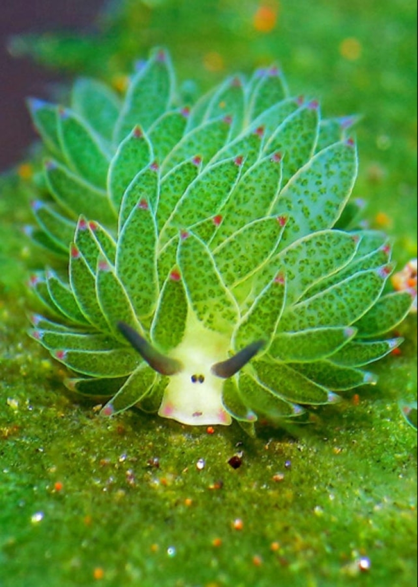 22 photos that will help you appreciate the greatness of Mother Nature