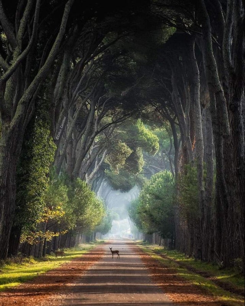 22 photos that will help you appreciate the greatness of Mother Nature