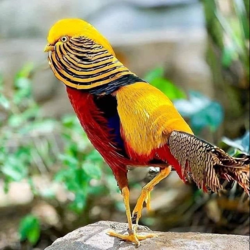 22 photos that will help you appreciate the greatness of Mother Nature
