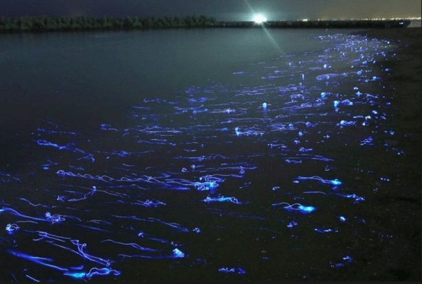 22 photos that will help you appreciate the greatness of Mother Nature