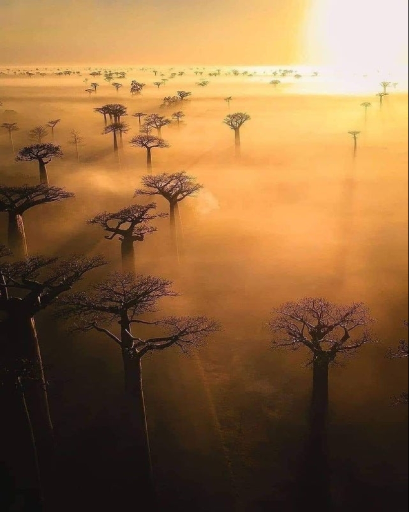 22 photos that will help you appreciate the greatness of Mother Nature