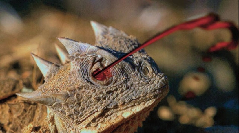 22 photos that will help you appreciate the greatness of Mother Nature