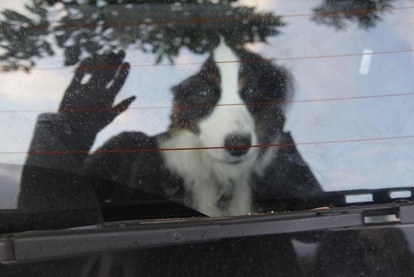 22 photos that will take your brain out before you understand what's going on here