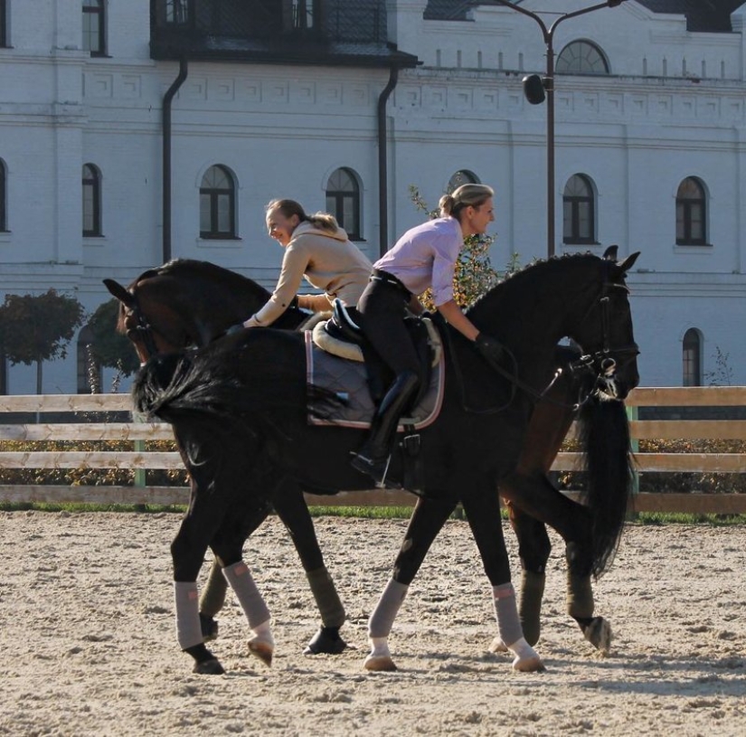 22 photos that will take your brain out before you understand what's going on here