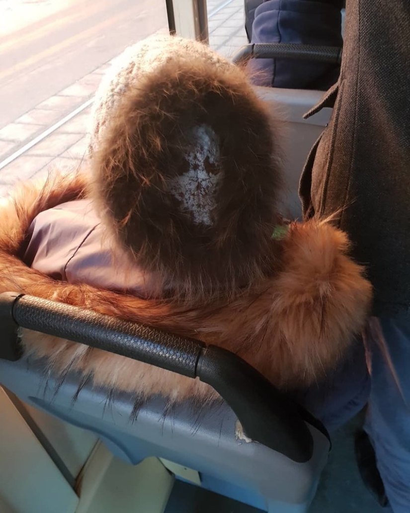 22 photos that will take your brain out before you understand what's going on here