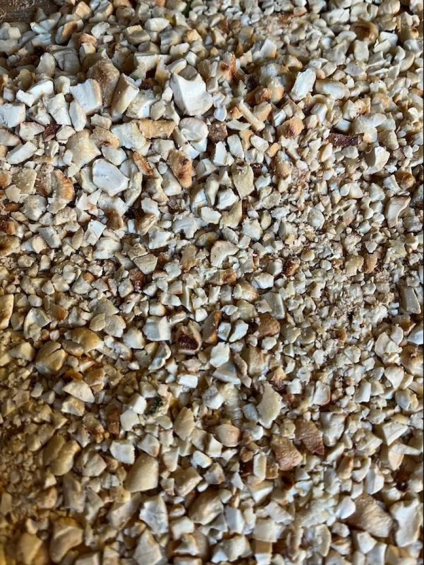 22 photos that you will have to look at twice to understand what is happening