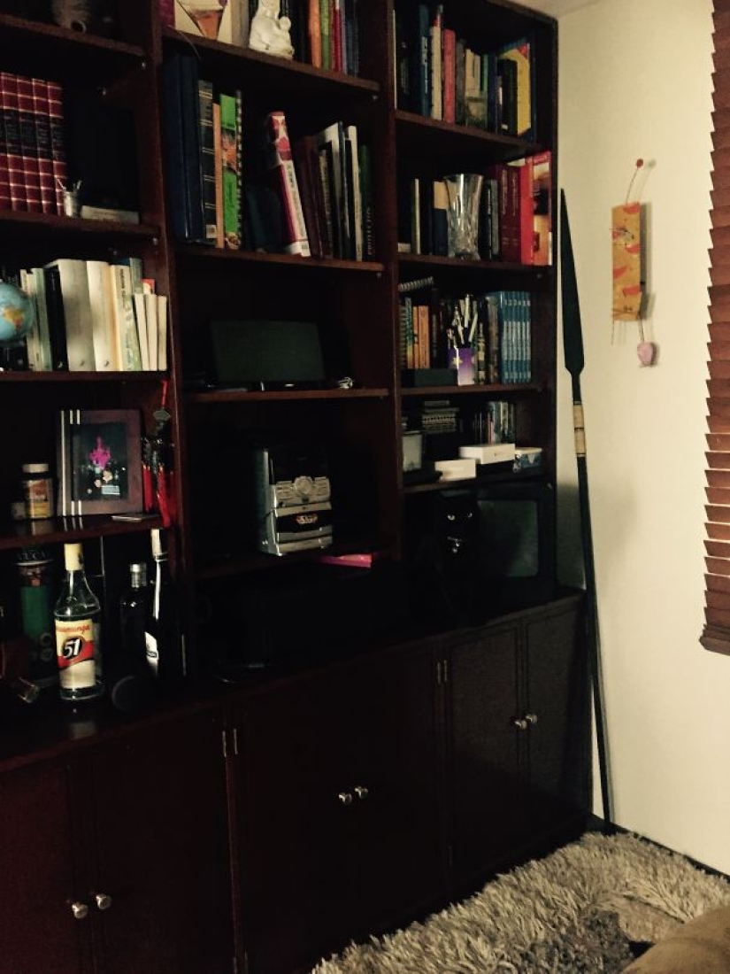 22 photos where animals hid, but you won't find them