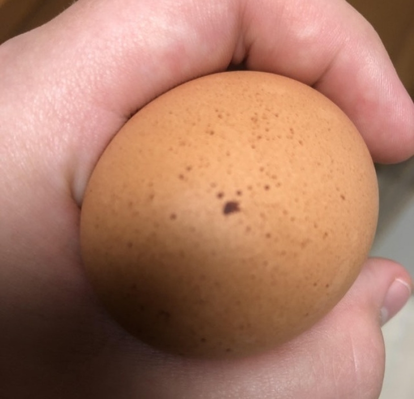 22 photos with tricks and illusions, which are so difficult to understand 22 photos with tricks and illusions, which are so difficult to understand