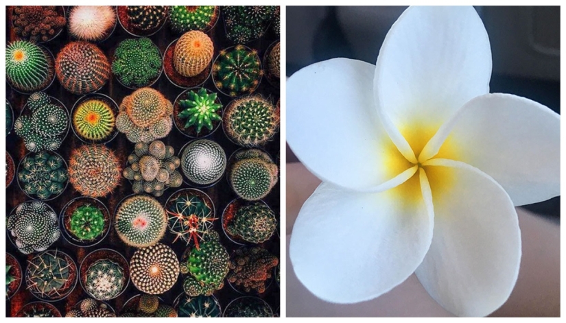 22 proofs that nature is the most talented artist 22 proofs that nature is the most talented artist