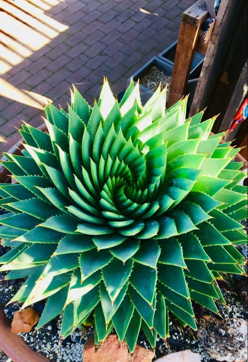 22 proofs that nature is the most talented artist 22 proofs that nature is the most talented artist