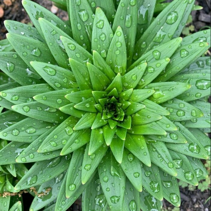 22 proofs that nature is the most talented artist 22 proofs that nature is the most talented artist