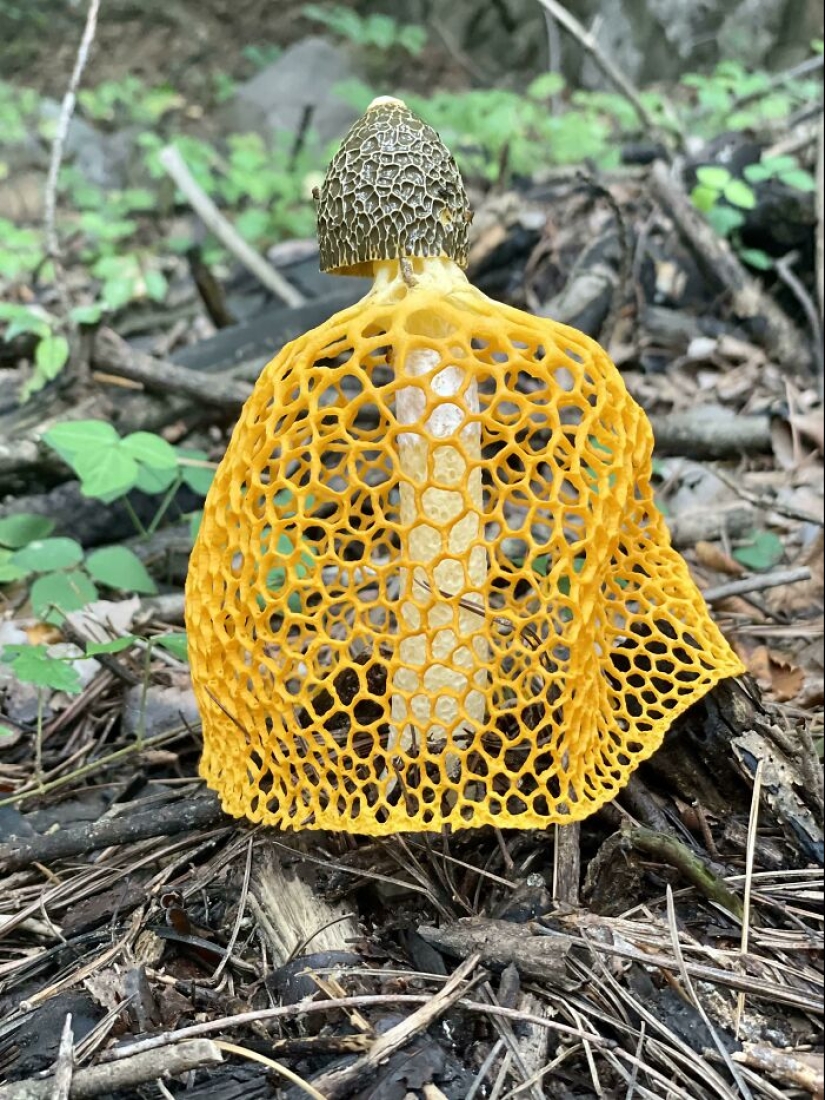 22 proofs that nature is the most talented artist 22 proofs that nature is the most talented artist