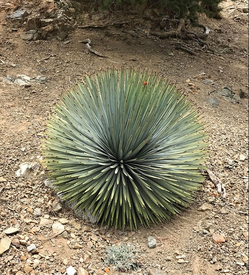 22 proofs that nature is the most talented artist 22 proofs that nature is the most talented artist