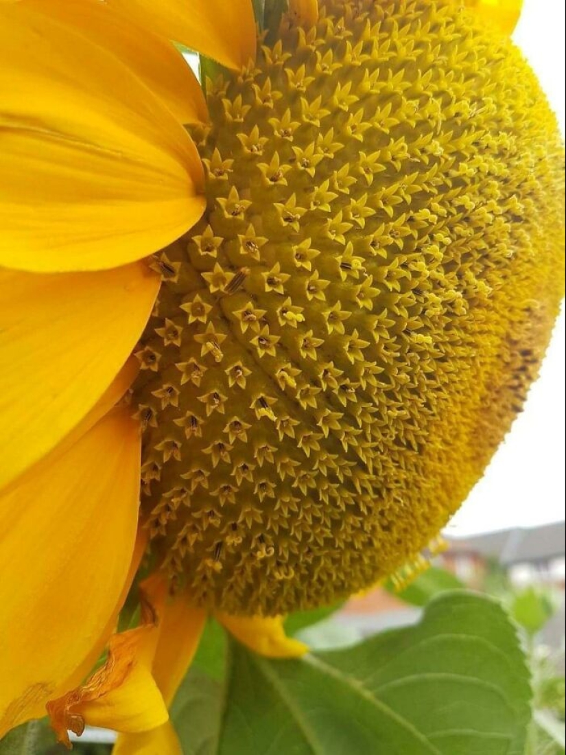 22 proofs that nature is the most talented artist 22 proofs that nature is the most talented artist