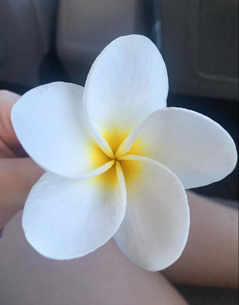 22 proofs that nature is the most talented artist 22 proofs that nature is the most talented artist