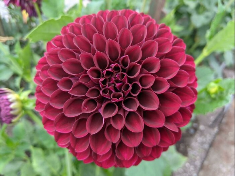 22 proofs that nature is the most talented artist 22 proofs that nature is the most talented artist