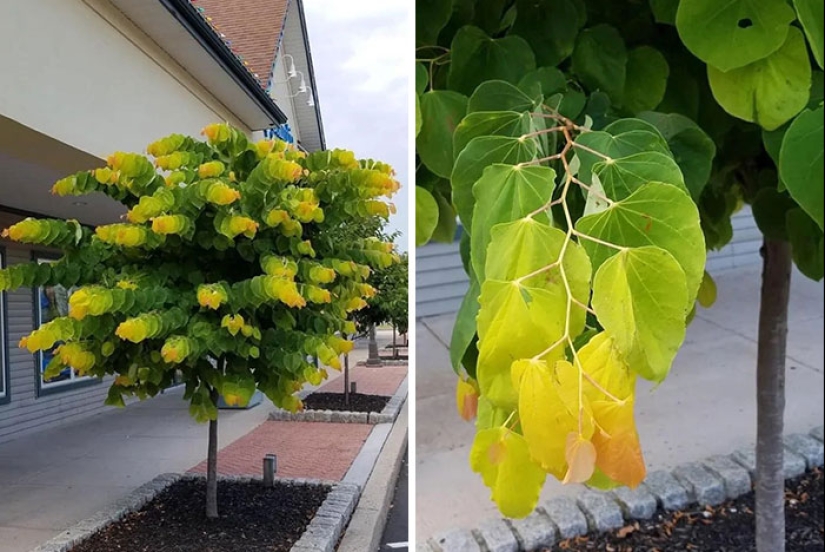 22 proofs that nature is the most talented artist 22 proofs that nature is the most talented artist
