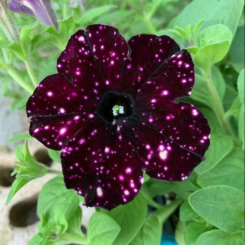 22 proofs that nature is the most talented artist 22 proofs that nature is the most talented artist