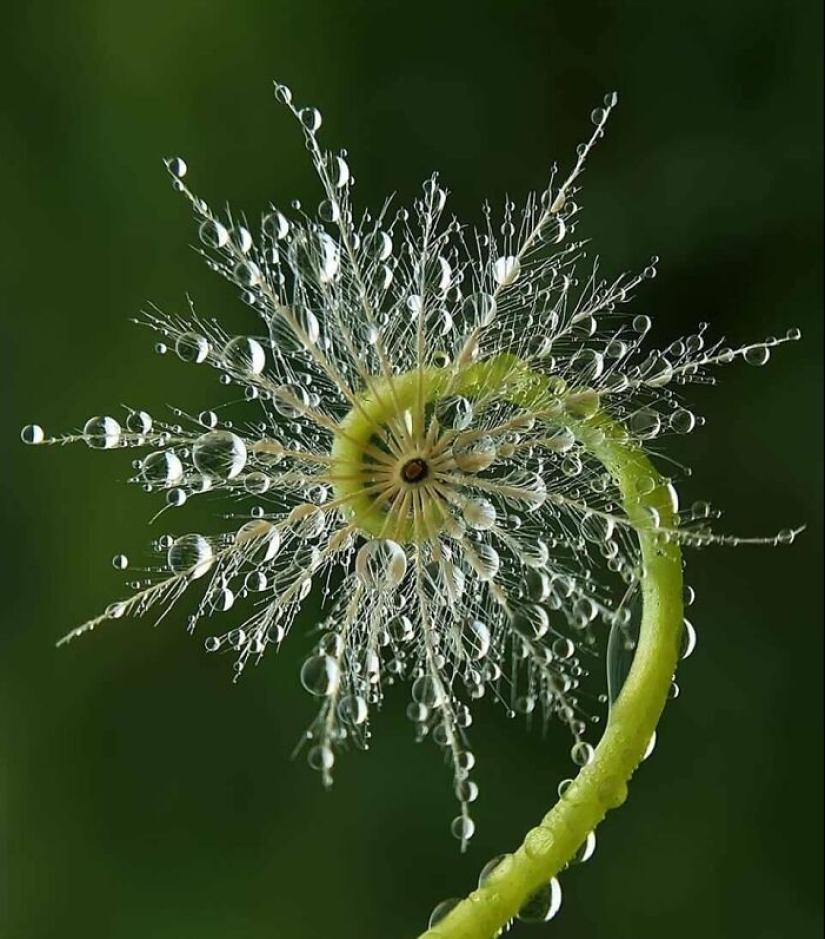 22 proofs that nature is the most talented artist 22 proofs that nature is the most talented artist