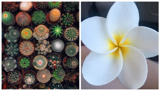 22 proofs that nature is the most talented artist