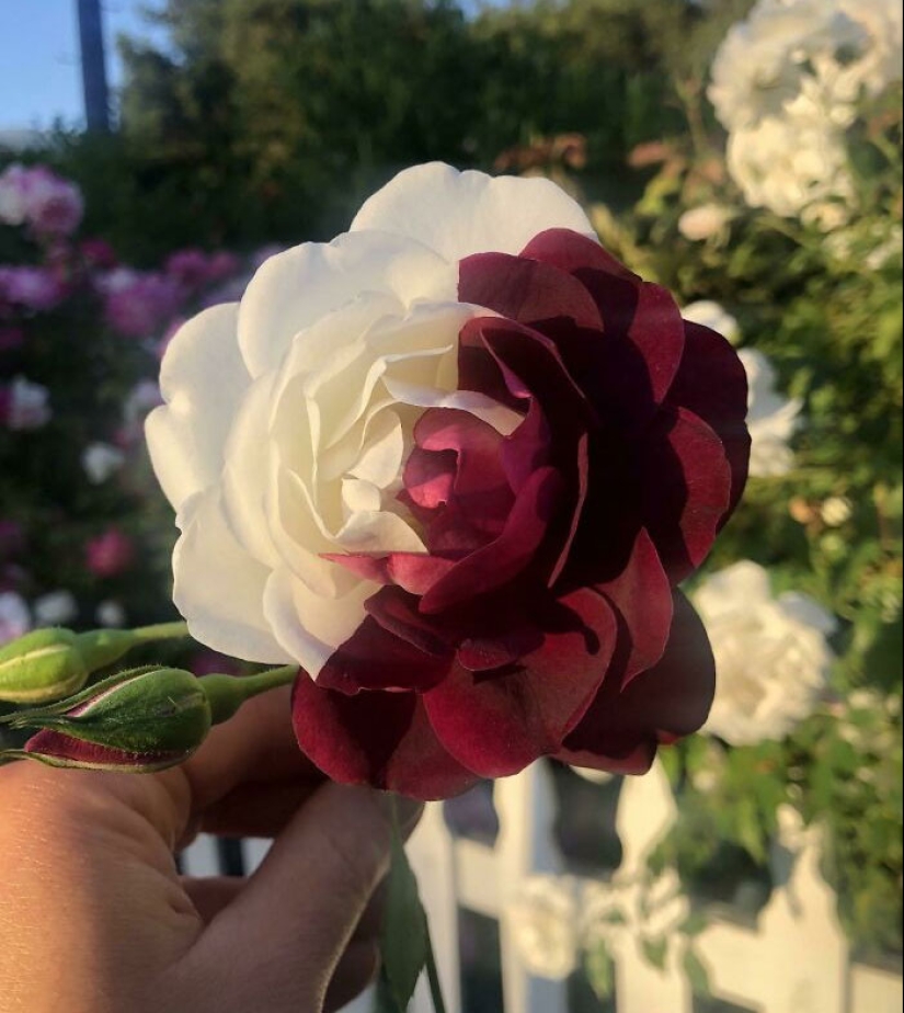 22 proofs that nature is the most talented artist 22 proofs that nature is the most talented artist