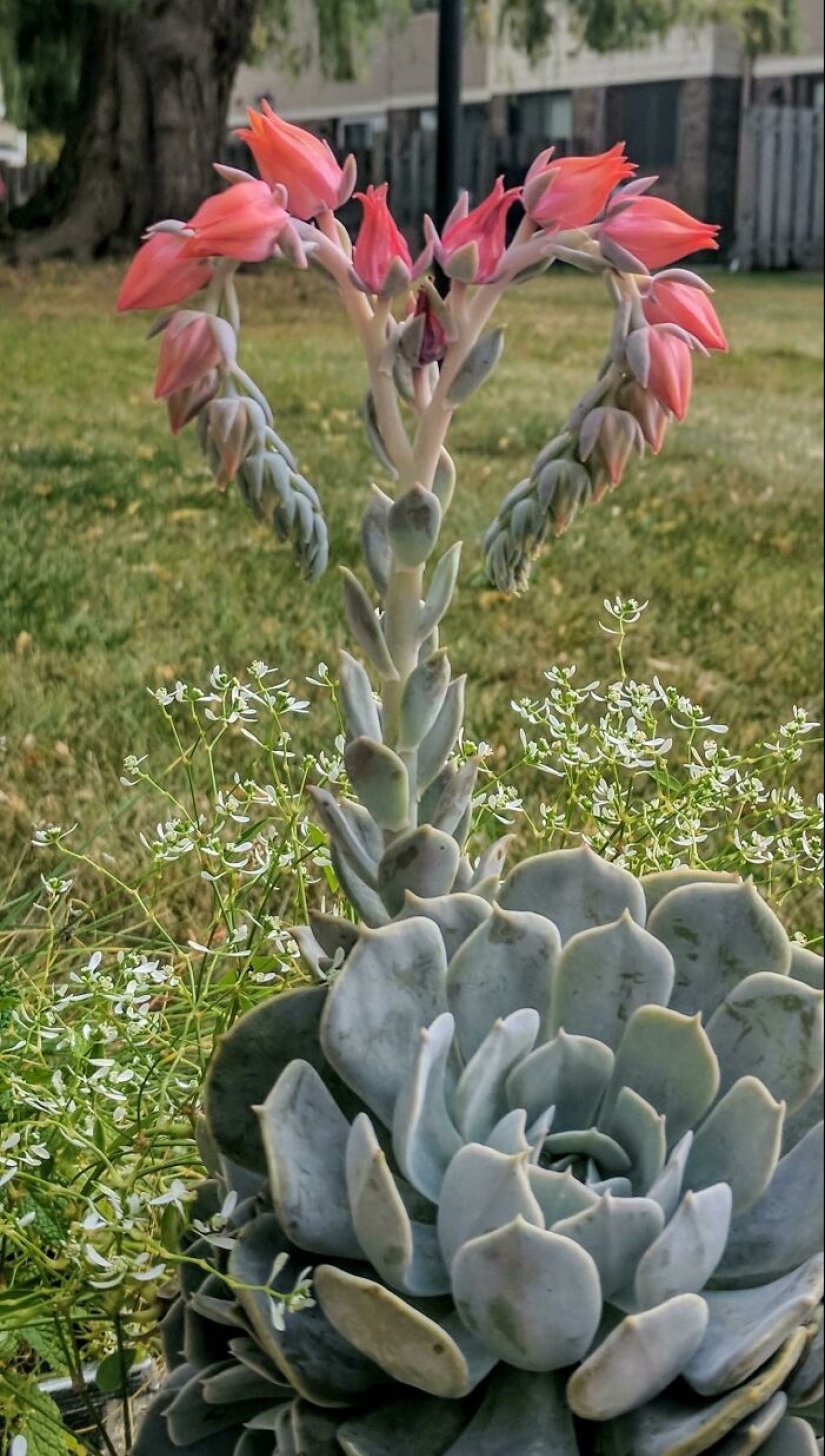 22 proofs that nature is the most talented artist 22 proofs that nature is the most talented artist