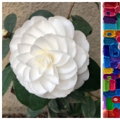 22 proofs that perfection can manifest itself even in small things