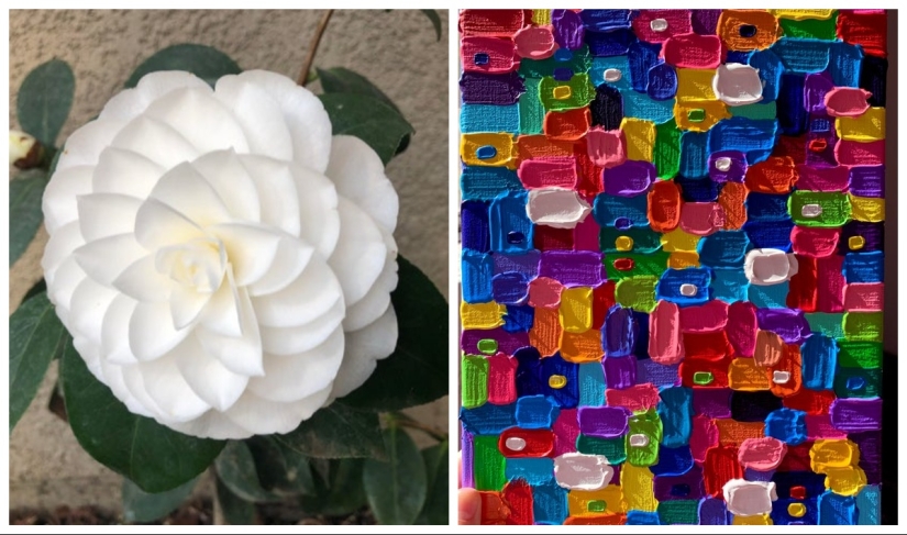 22 pruebas de que la naturaleza es el artista más talentoso 22 pruebas de que la naturaleza es el artista más talentoso
